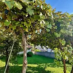 New Sunny 30 M2 In Area With Parking ليوبليانا