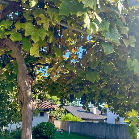 New Sunny 30 M2 In Area With Parking ليوبليانا