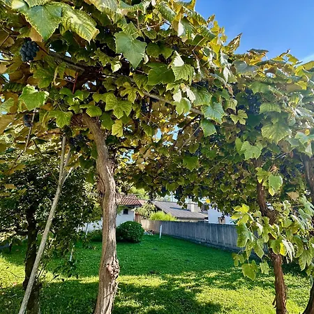 New Sunny 30 M2 In Area With Parking לובליאנה