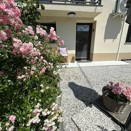 New Sunny 30 M2 In Area With Parking דירה *